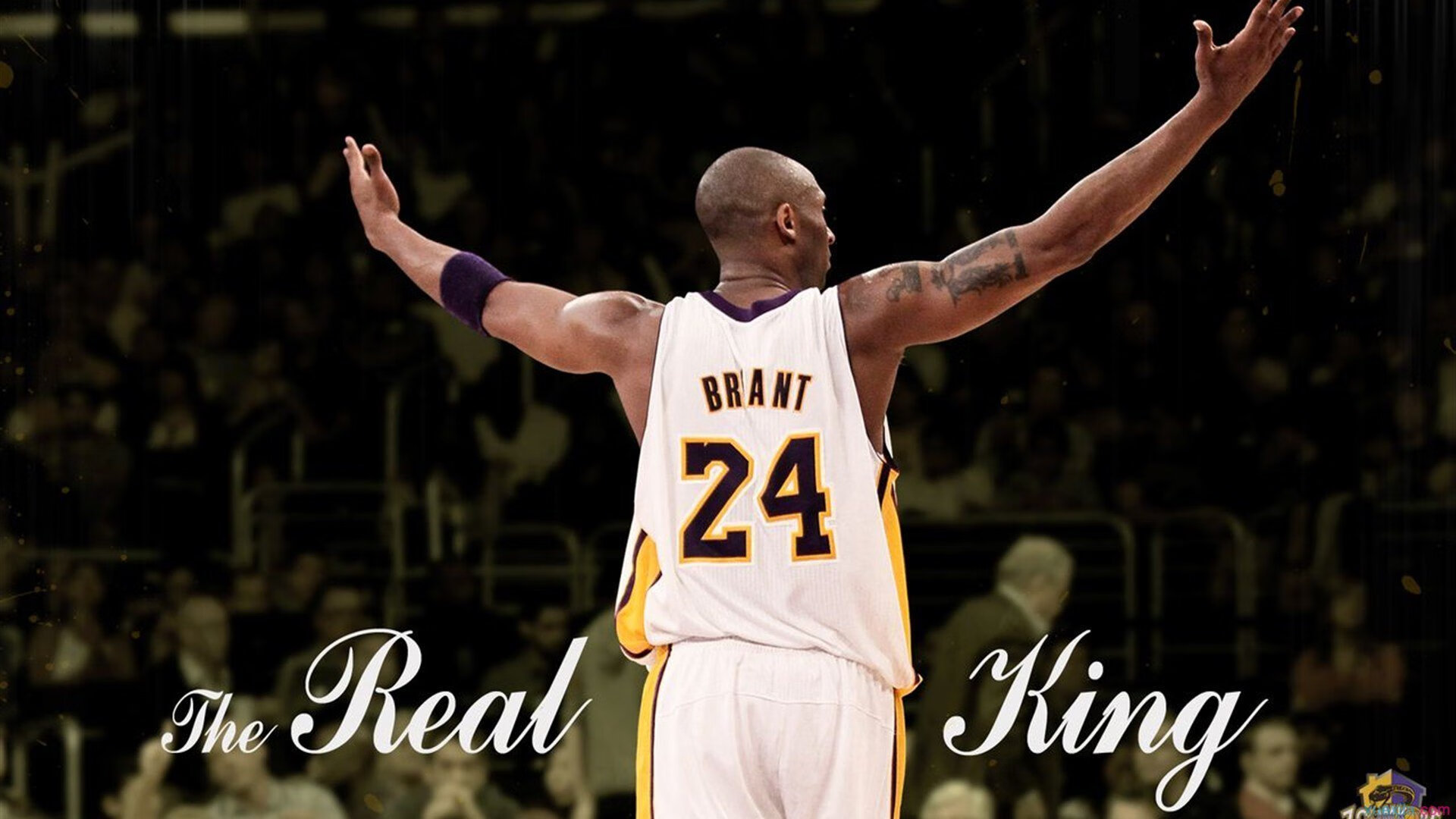 篮网狂潮席卷广厦！小贾伦化身大场面先生一锤定音