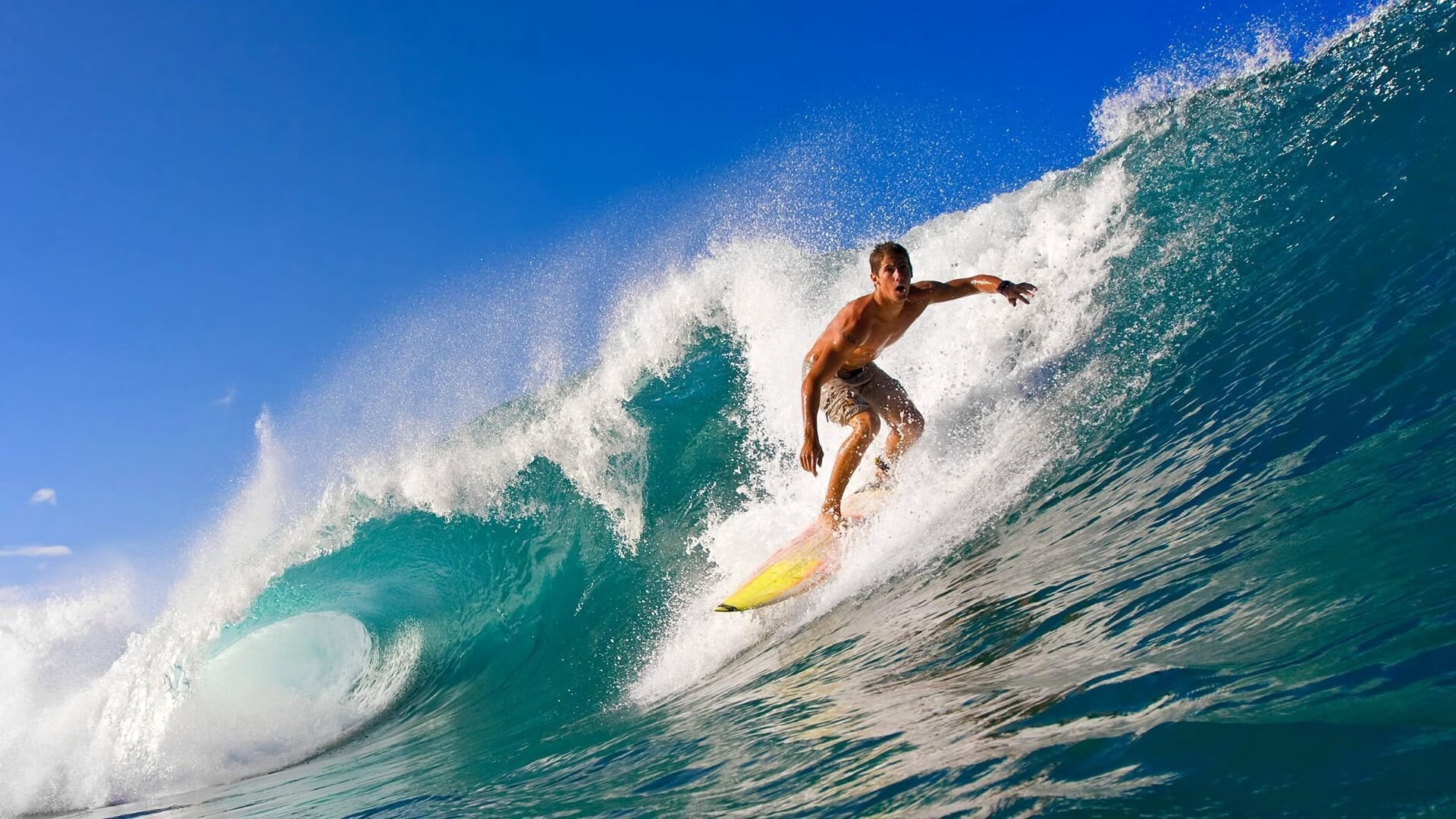 绿茵场交响诗！范戴克一夫当关，哥斯达黎加斩断苏格兰最后幻想